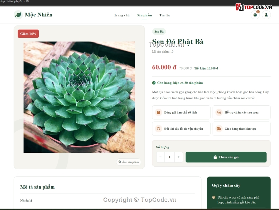 bán cây cảnh,cây cảnh,bán